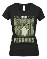 Women's V-Neck T-Shirt Women's V-Neck T-Shirt