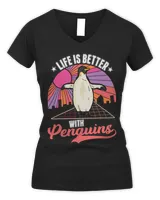 Women's V-Neck T-Shirt Women's V-Neck T-Shirt