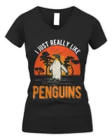Women's V-Neck T-Shirt Women's V-Neck T-Shirt