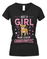Women's V-Neck T-Shirt Women's V-Neck T-Shirt