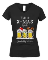 Women's V-Neck T-Shirt Women's V-Neck T-Shirt