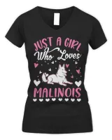 Women's V-Neck T-Shirt Women's V-Neck T-Shirt