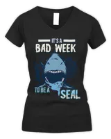 Women's V-Neck T-Shirt Women's V-Neck T-Shirt