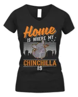Women's V-Neck T-Shirt Women's V-Neck T-Shirt