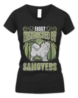 Women's V-Neck T-Shirt Women's V-Neck T-Shirt