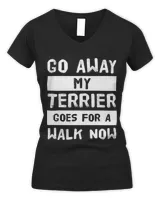Women's V-Neck T-Shirt Women's V-Neck T-Shirt