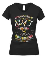 Women's V-Neck T-Shirt Women's V-Neck T-Shirt