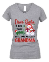 Women's V-Neck T-Shirt Women's V-Neck T-Shirt