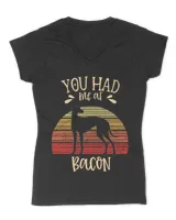 Women's V-Neck T-Shirt Women's V-Neck T-Shirt