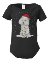 Infant Short Sleeve Bodysuit
