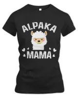 Women's Premium Slim Fit Tee Women's Premium Slim Fit Tee