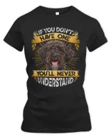 Women's Premium Slim Fit Tee Women's Premium Slim Fit Tee