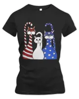 Women's Premium Slim Fit Tee Women's Premium Slim Fit Tee