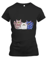 Women's Premium Slim Fit Tee Women's Premium Slim Fit Tee