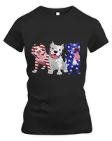 Women's Premium Slim Fit Tee Women's Premium Slim Fit Tee
