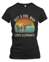Women's Premium Slim Fit Tee Women's Premium Slim Fit Tee