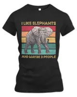 Women's Premium Slim Fit Tee Women's Premium Slim Fit Tee