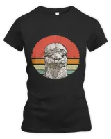 Women's Premium Slim Fit Tee Women's Premium Slim Fit Tee