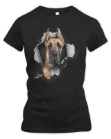 Women's Premium Slim Fit Tee Women's Premium Slim Fit Tee