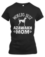 Women's Premium Slim Fit Tee Women's Premium Slim Fit Tee