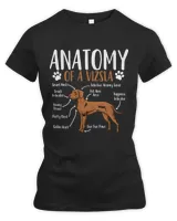 Women's Premium Slim Fit Tee Women's Premium Slim Fit Tee