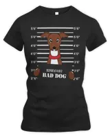 Women's Premium Slim Fit Tee Women's Premium Slim Fit Tee