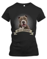 Women's Premium Slim Fit Tee Women's Premium Slim Fit Tee