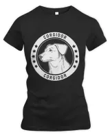 Women's Premium Slim Fit Tee Women's Premium Slim Fit Tee