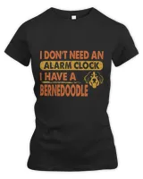 Women's Premium Slim Fit Tee Women's Premium Slim Fit Tee