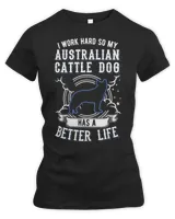 Women's Premium Slim Fit Tee Women's Premium Slim Fit Tee