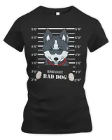 Women's Premium Slim Fit Tee Women's Premium Slim Fit Tee