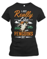 Women's Premium Slim Fit Tee Women's Premium Slim Fit Tee