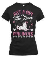 Women's Premium Slim Fit Tee Women's Premium Slim Fit Tee