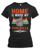 Women's Premium Slim Fit Tee Women's Premium Slim Fit Tee