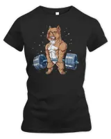Women's Premium Slim Fit Tee Women's Premium Slim Fit Tee