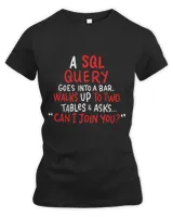 Women's Premium Slim Fit Tee Women's Premium Slim Fit Tee