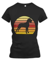 Women's Premium Slim Fit Tee Women's Premium Slim Fit Tee