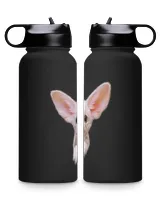 Premium Water Bottle