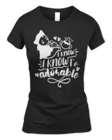 Women's Soft Style Fitted T-Shirt