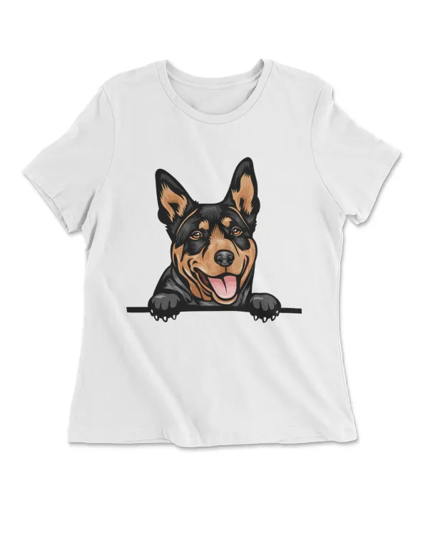 Animal Dog Australian Kelpie