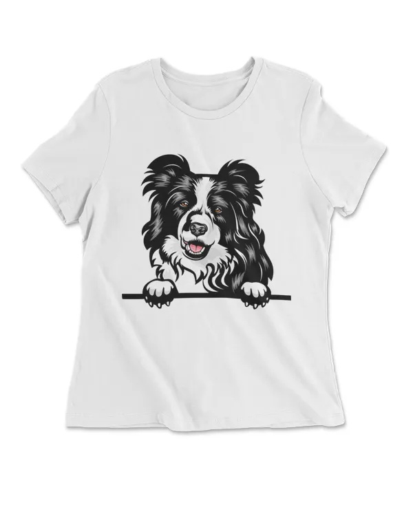 Animal Dog Border Collie