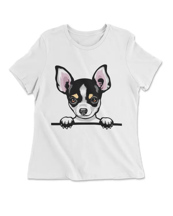 Animal Dog Chihuahua 4