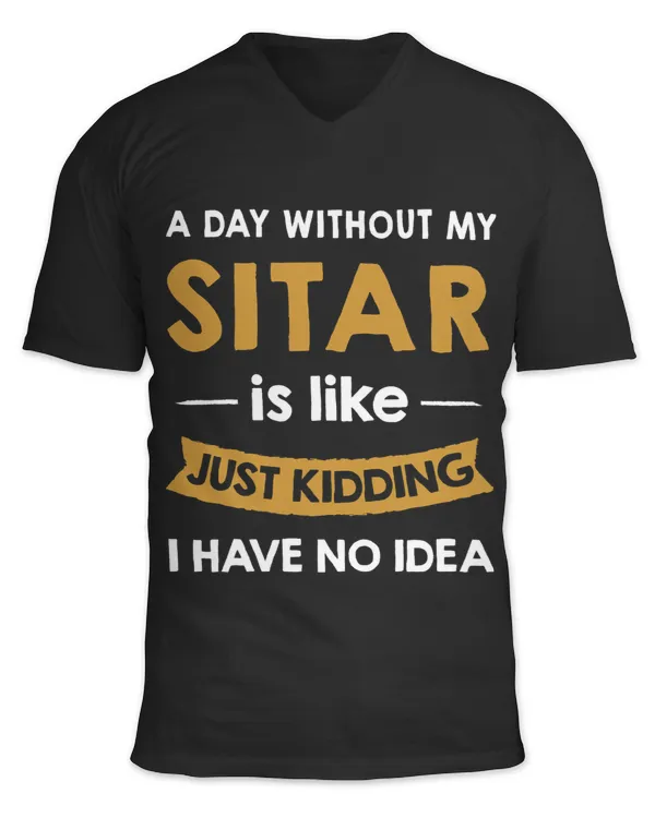 A Day Without My Sitar is Like Just Kidding sitar player