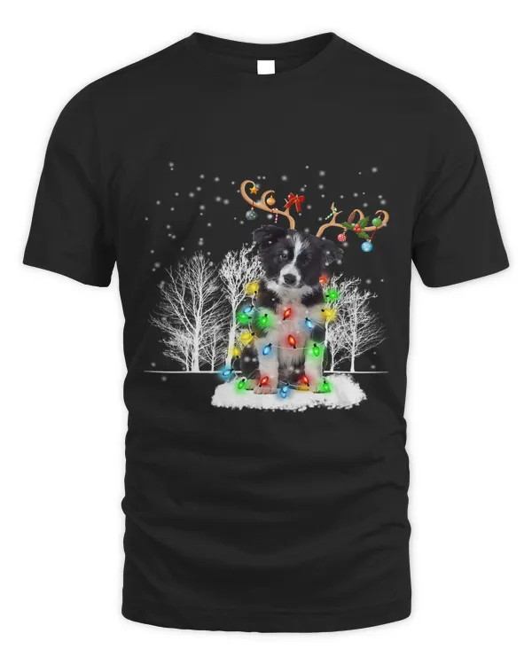 Border Collie Dog Snow Reindeer Santa Hat Christmas Light470