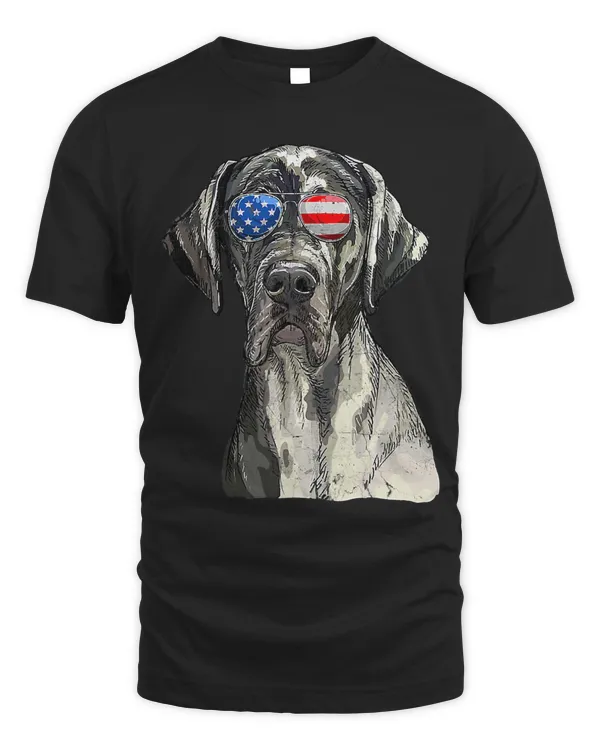Great Dane Sunglasses American USA Flag 4th Of July Fourth