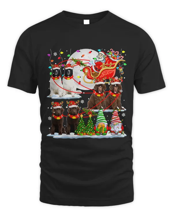 Santa Sleigh Reindeer Newfoundlands Xmas Costume Family Kids 20