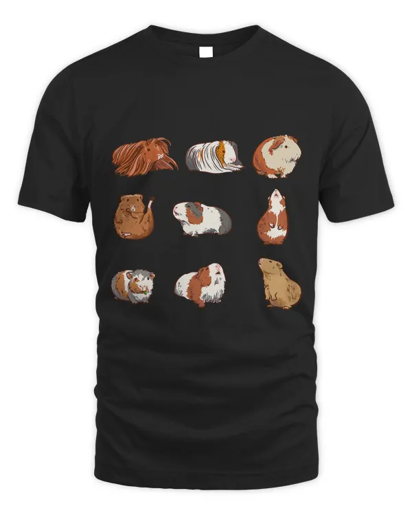 Cute Guinea pig types for Guinea pig owners and lovers