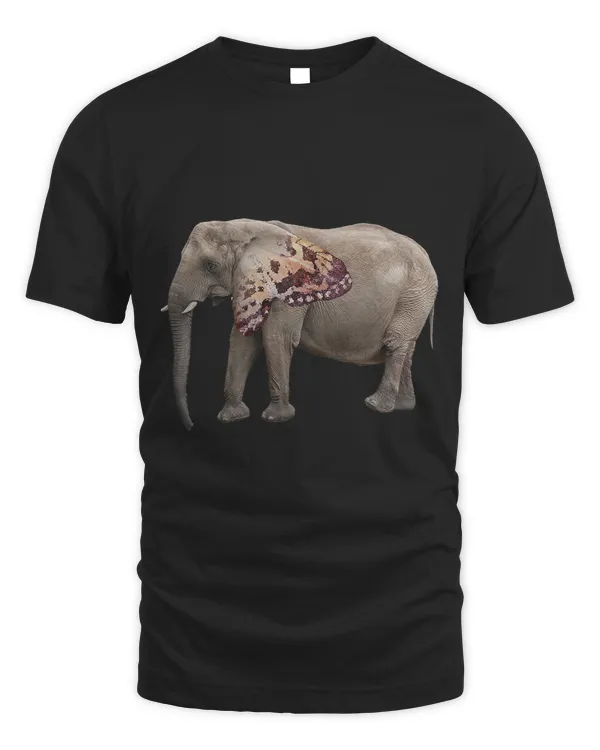 Big Grey Elephant With Buttery Fly Wing Ears I Love Animals