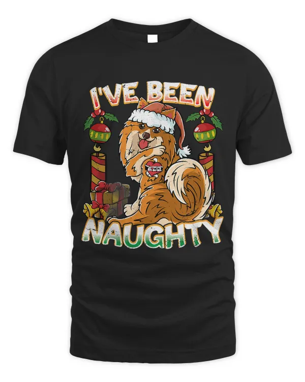 Ive Been Naughty Pomeranian Dog With Santa Claus Hat 320