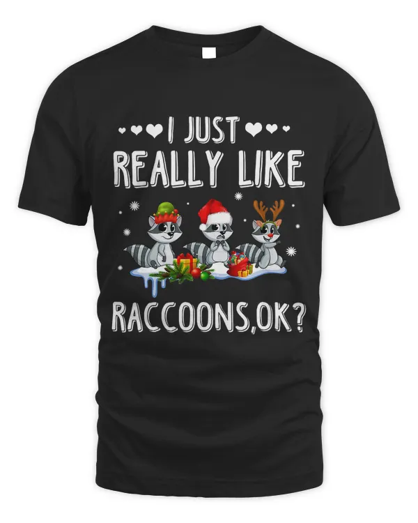 I Just Really Like Raccoons Christmas 64